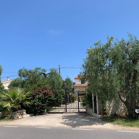 Villa Monica Appartamenti Vieste Luaran gambar