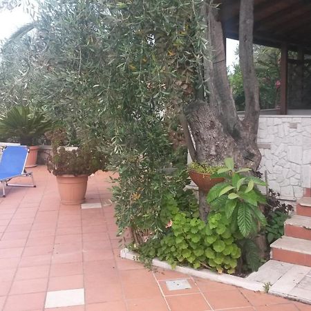 Villa Monica Appartamenti Vieste Luaran gambar