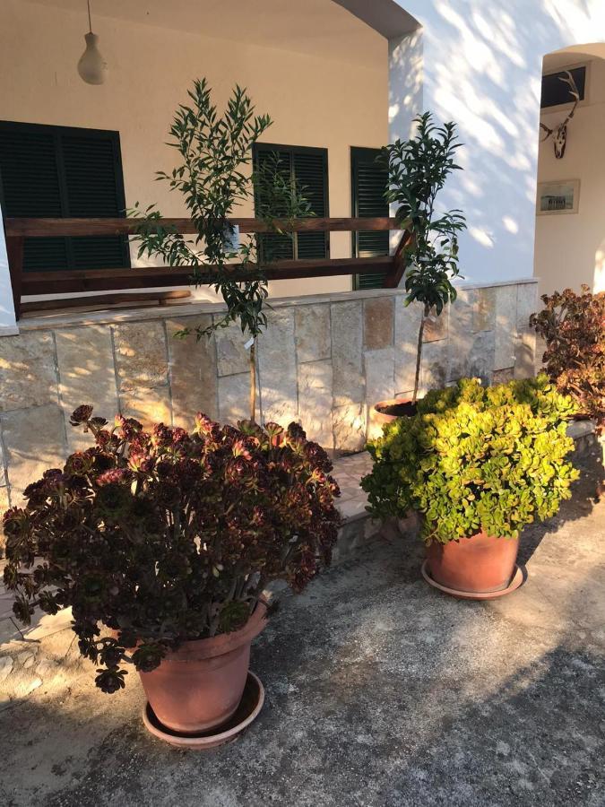 Villa Monica Appartamenti Vieste Luaran gambar