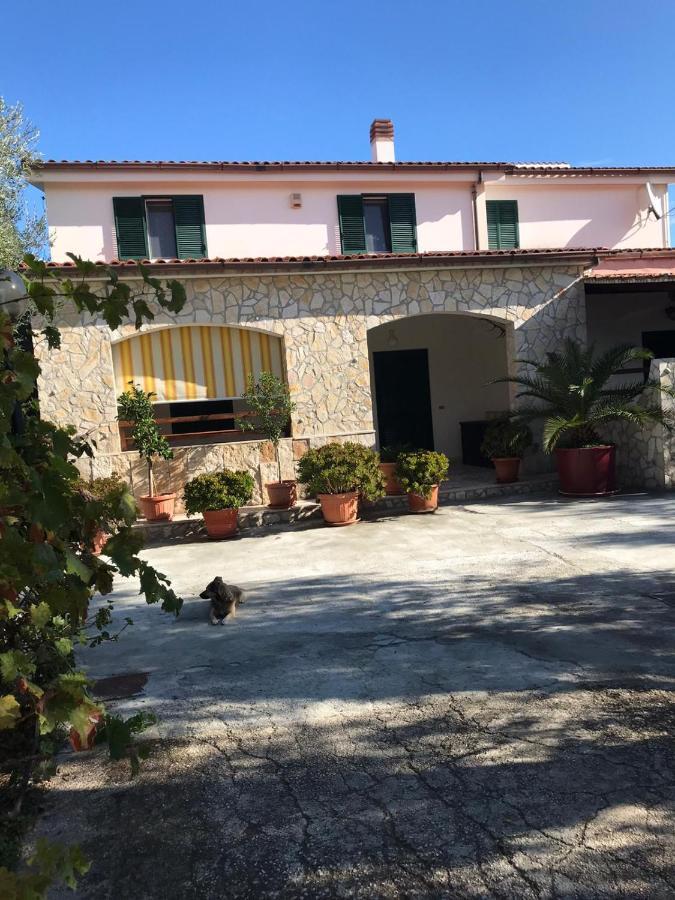 Villa Monica Appartamenti Vieste Luaran gambar