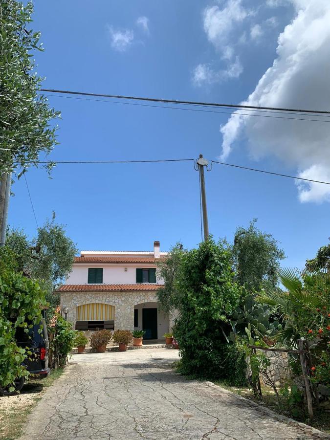Villa Monica Appartamenti Vieste Luaran gambar
