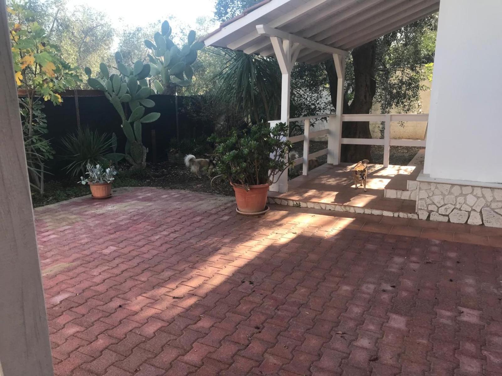 Villa Monica Appartamenti Vieste Luaran gambar
