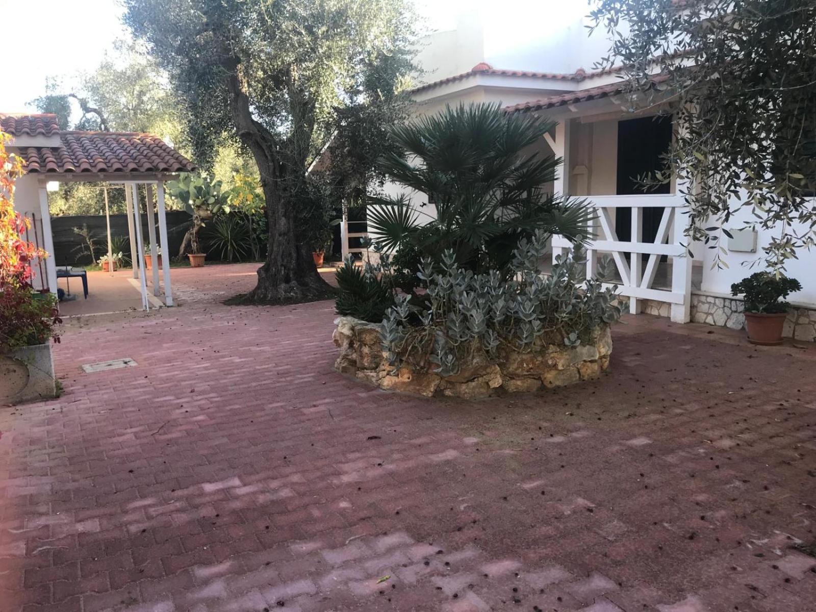 Villa Monica Appartamenti Vieste Luaran gambar