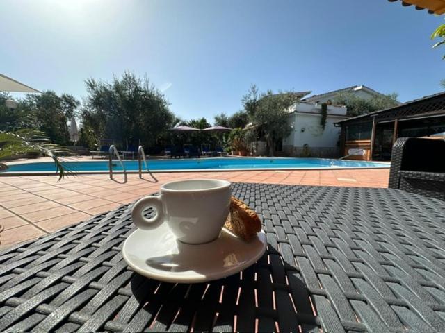 Villa Monica Appartamenti Vieste Luaran gambar