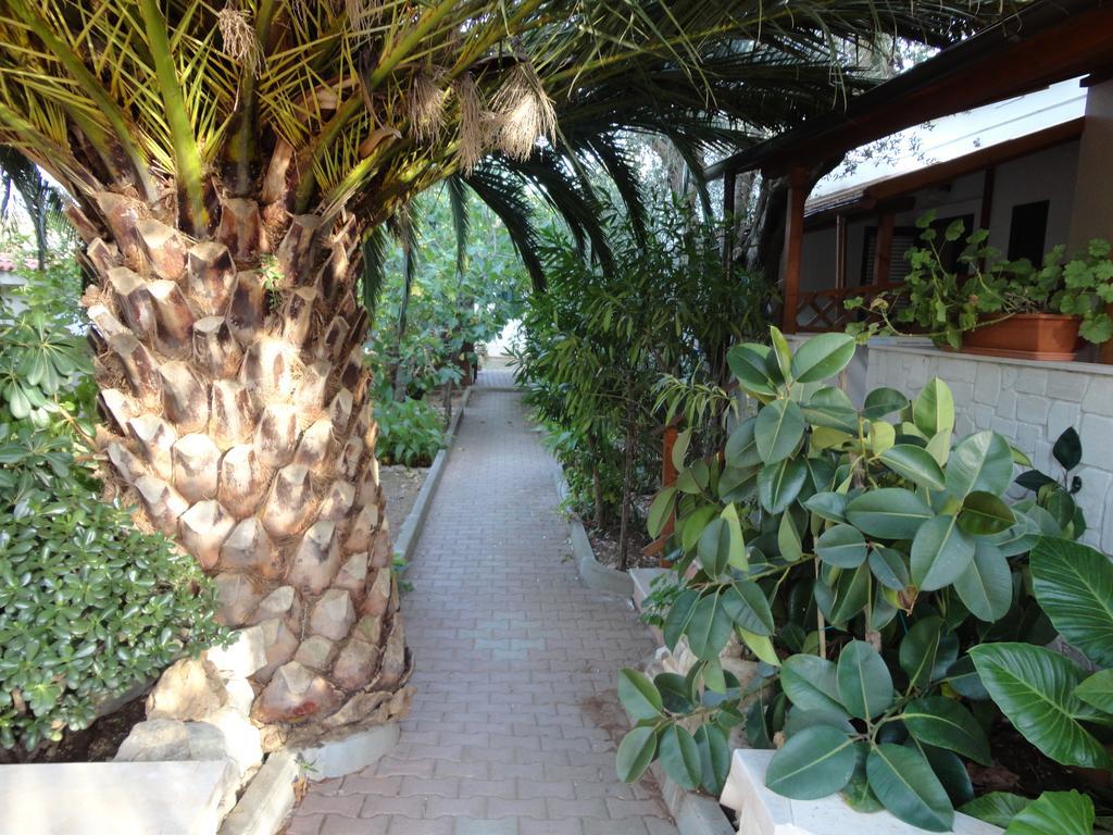 Villa Monica Appartamenti Vieste Luaran gambar
